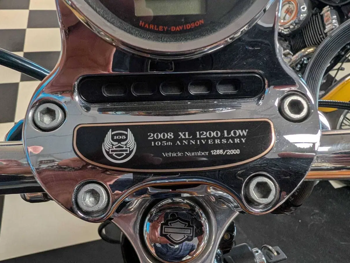 Harley-Davidson 1200 Custom (2007 - 13) - XL 1200C (8)