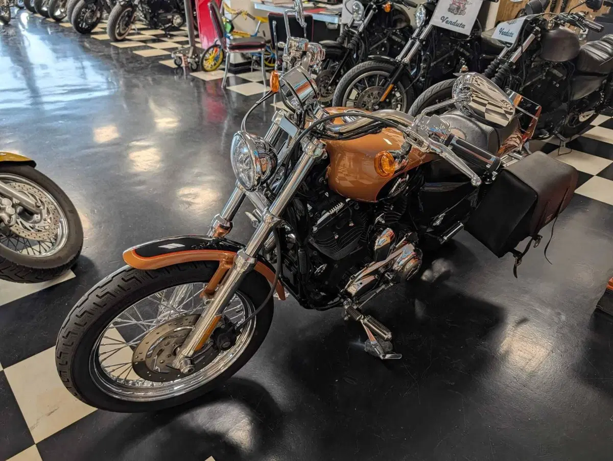 Harley-Davidson 1200 Custom (2007 - 13) - XL 1200C (10)