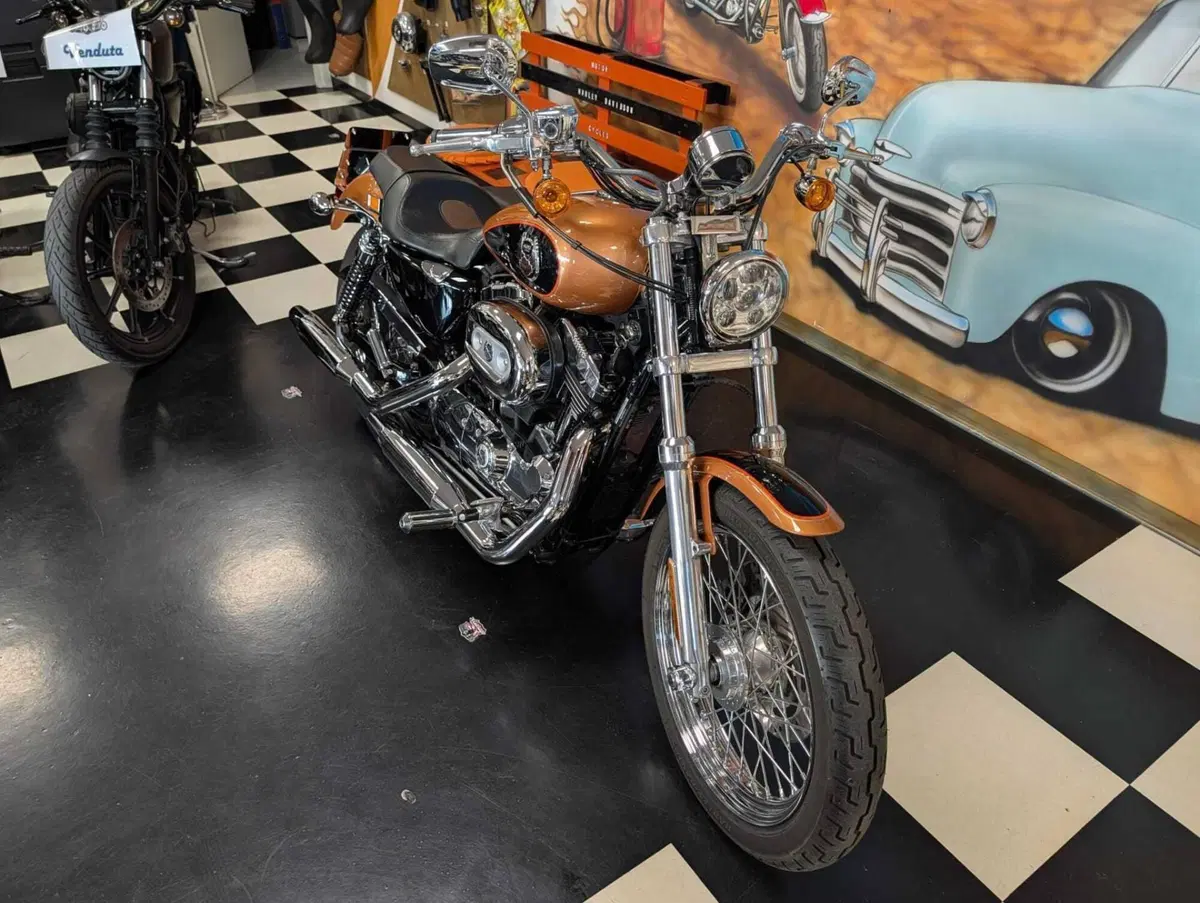 Harley-Davidson 1200 Custom (2007 - 13) - XL 1200C (11)