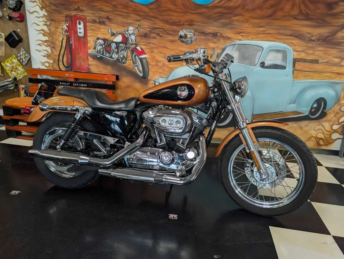Harley-Davidson 1200 Custom (2007 - 13) - XL 1200C