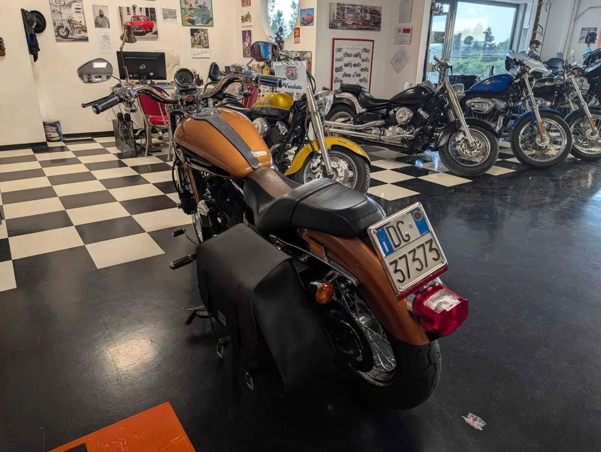 Harley-Davidson 1200 Custom (2007 - 13) - XL 1200C (12)