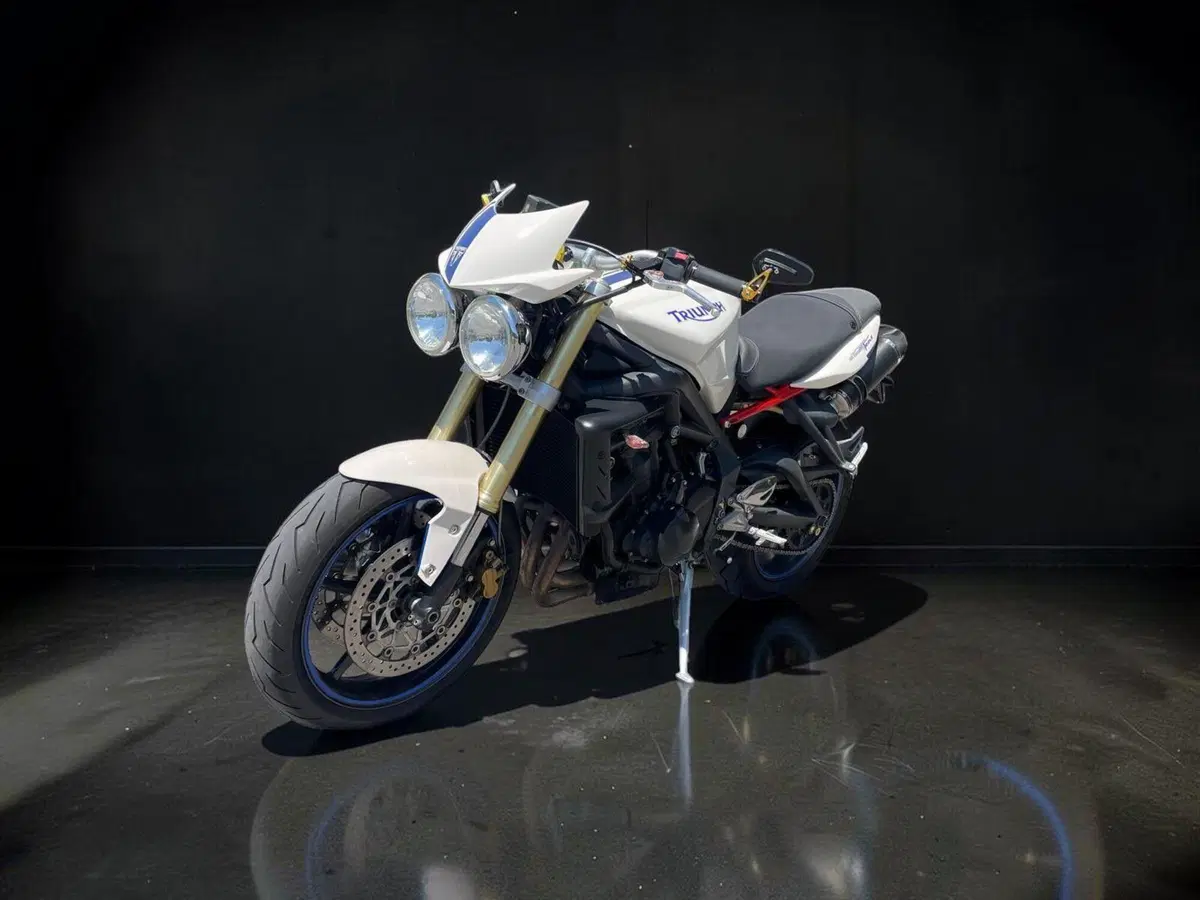 Triumph Street Triple (2007 - 12) (3)