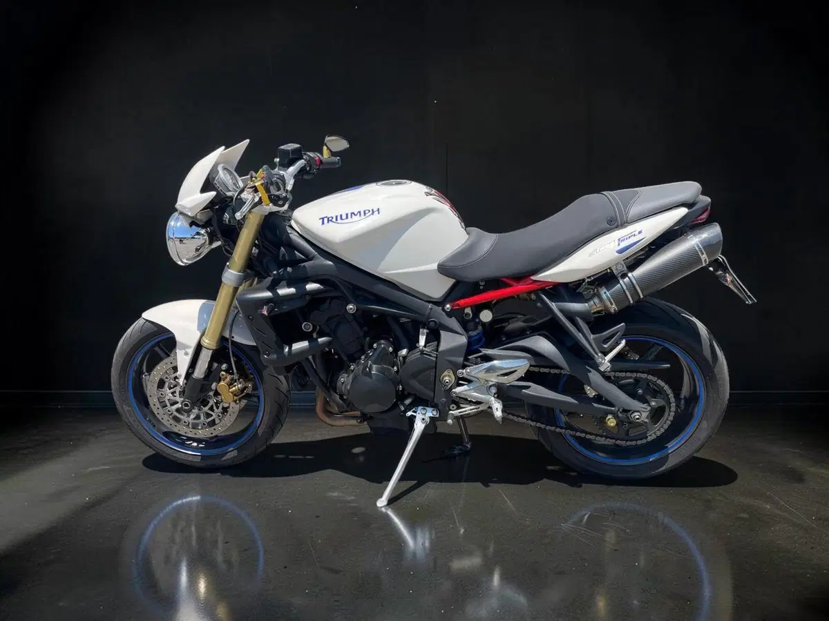 Triumph Street Triple (2007 - 12) (4)