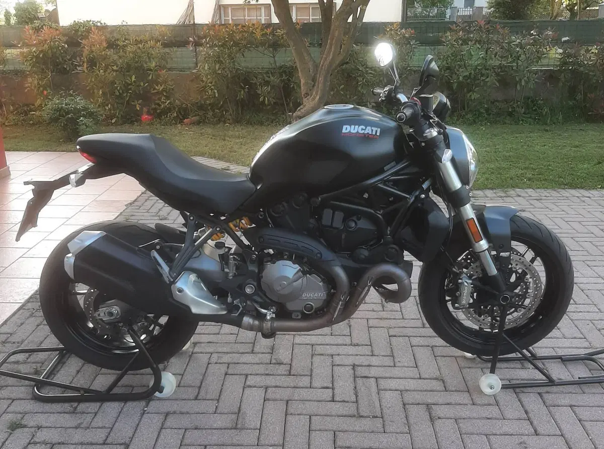 Ducati Monster 821 (2018 - 20) (6)