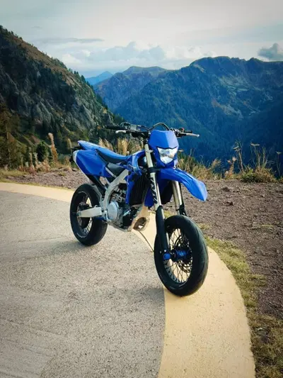 Yamaha WR 450 F (2022 - 24) usata