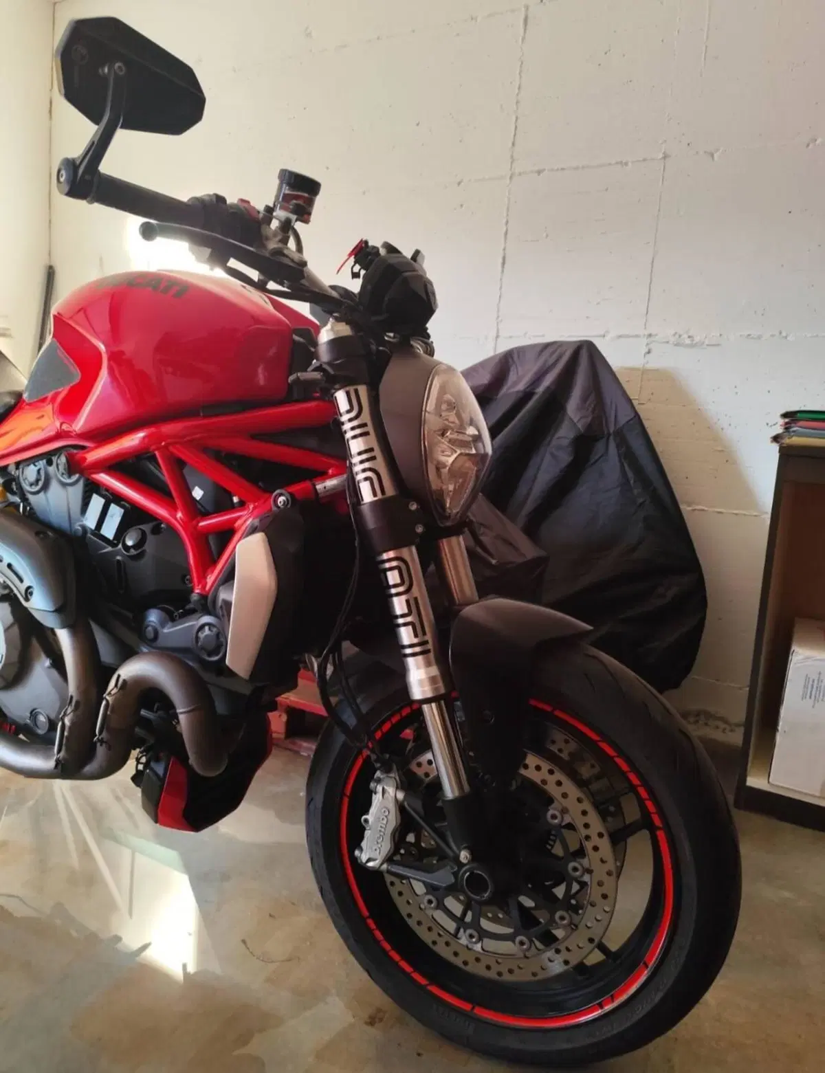 Ducati Monster 1200 (2017 - 21) (2)