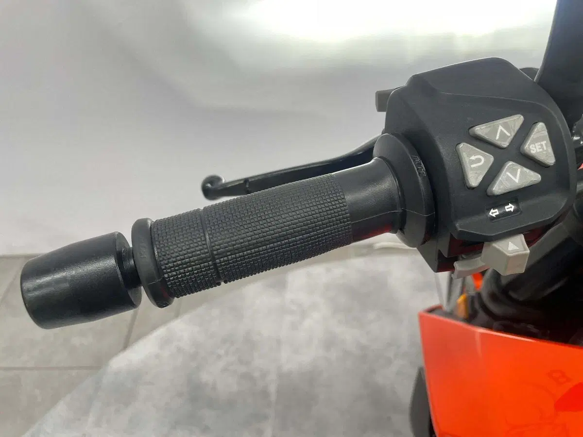 KTM 390 Duke ABS (2017 - 20) (13)
