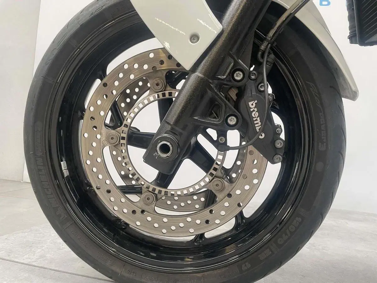 Bmw F 800 R (2009 - 11) (13)