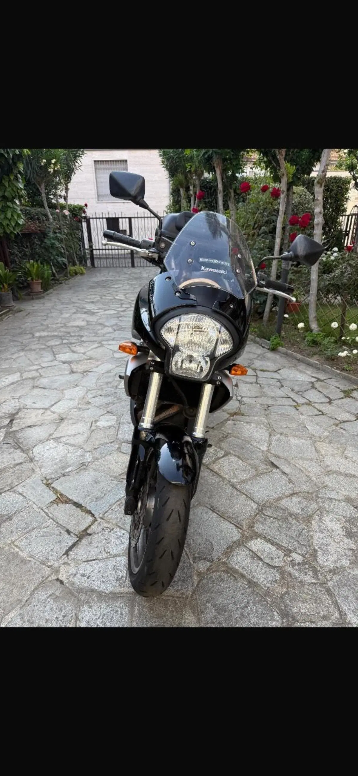 Kawasaki Versys 650 (2006 - 09) (4)