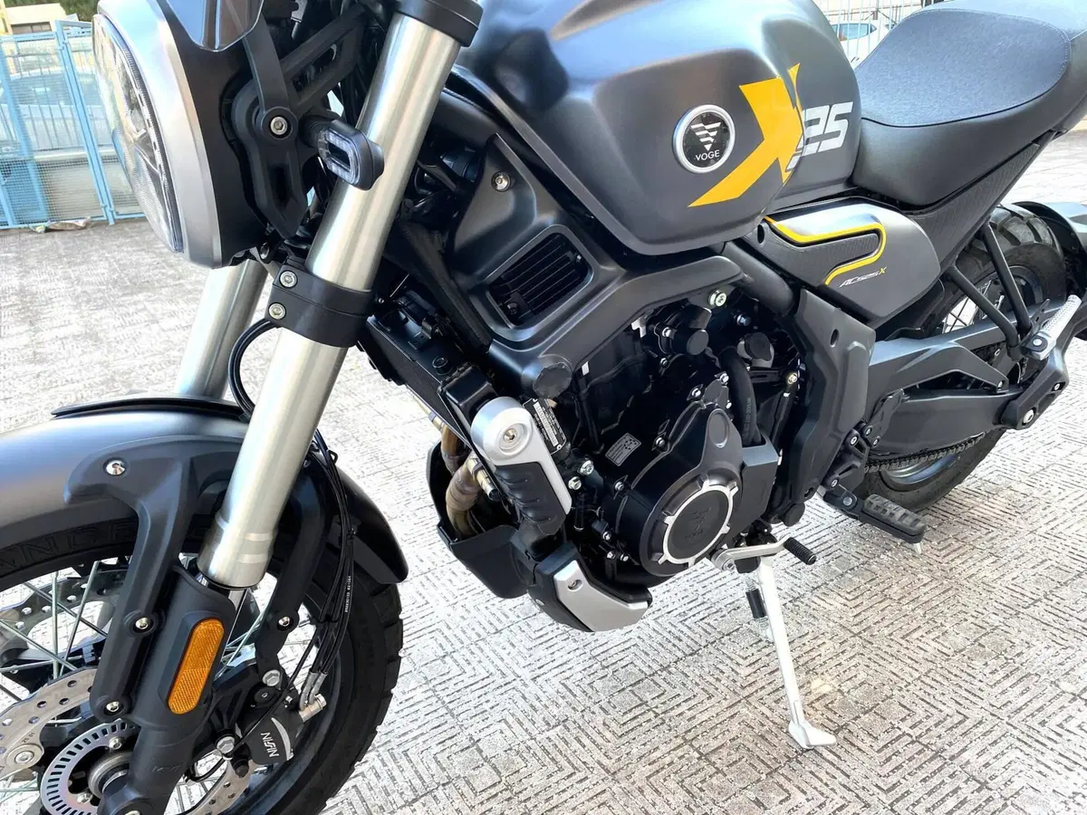 Voge Trofeo 525ACX Scrambler (2023 - 26) (4)