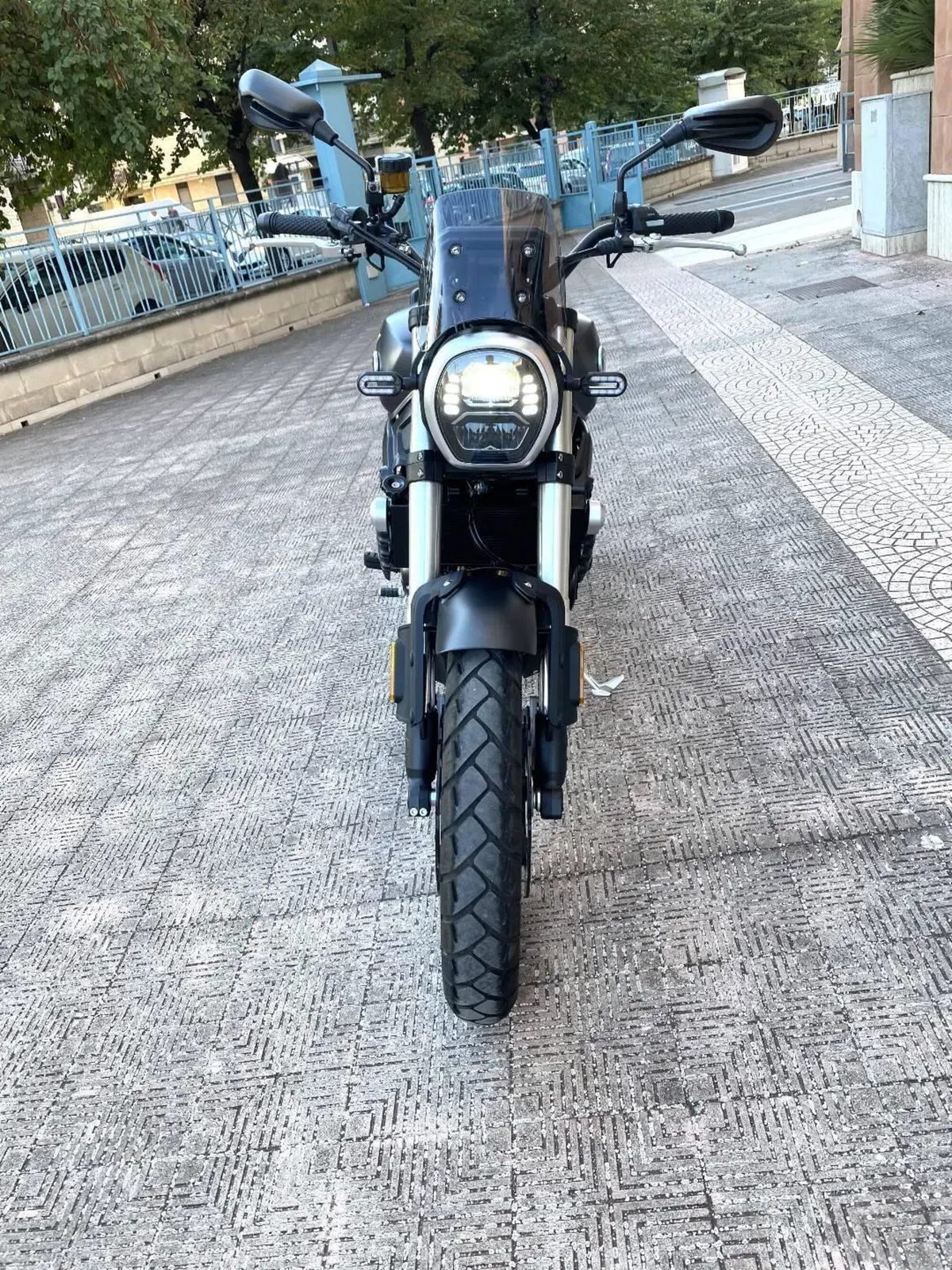 Voge Trofeo 525ACX Scrambler (2023 - 26) (5)