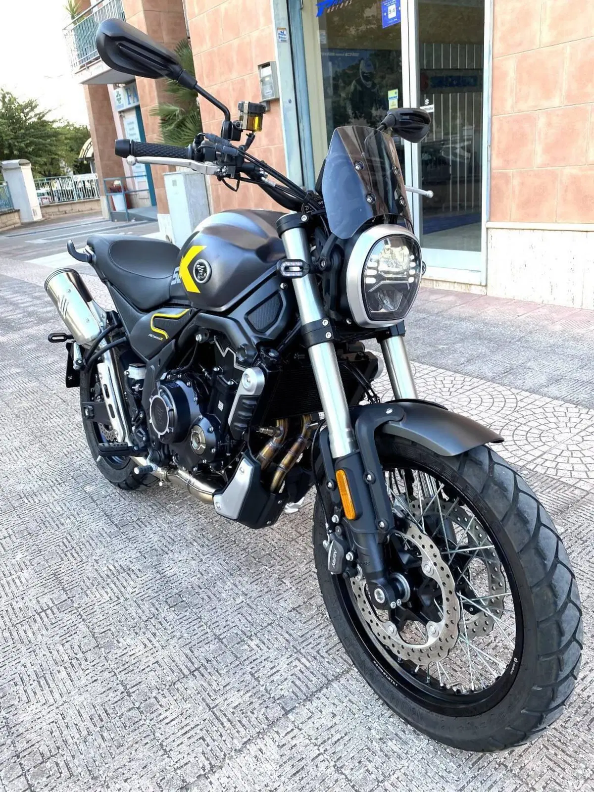 Voge Trofeo 525ACX Scrambler (2023 - 26) (6)