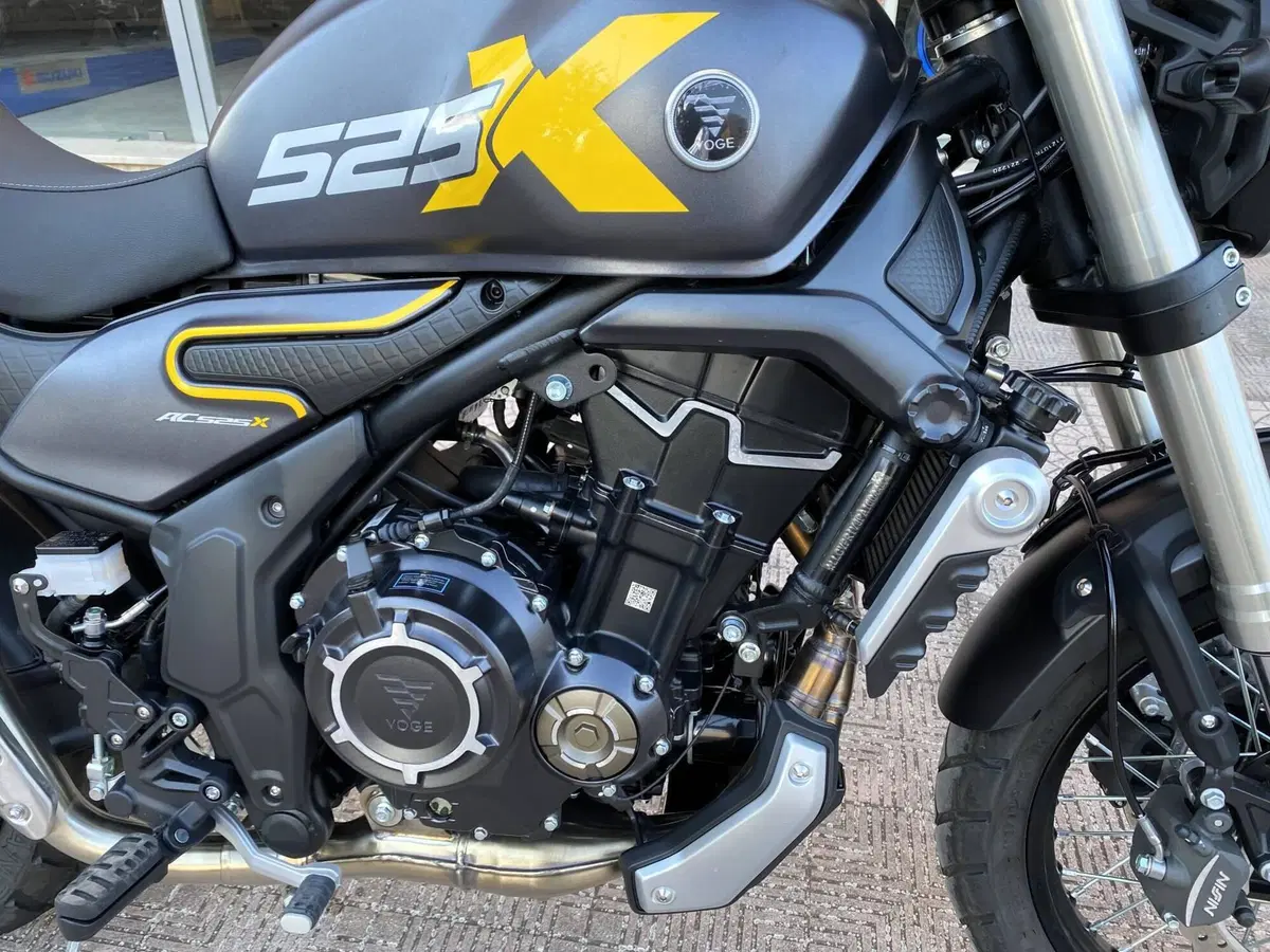 Voge Trofeo 525ACX Scrambler (2023 - 26) (7)