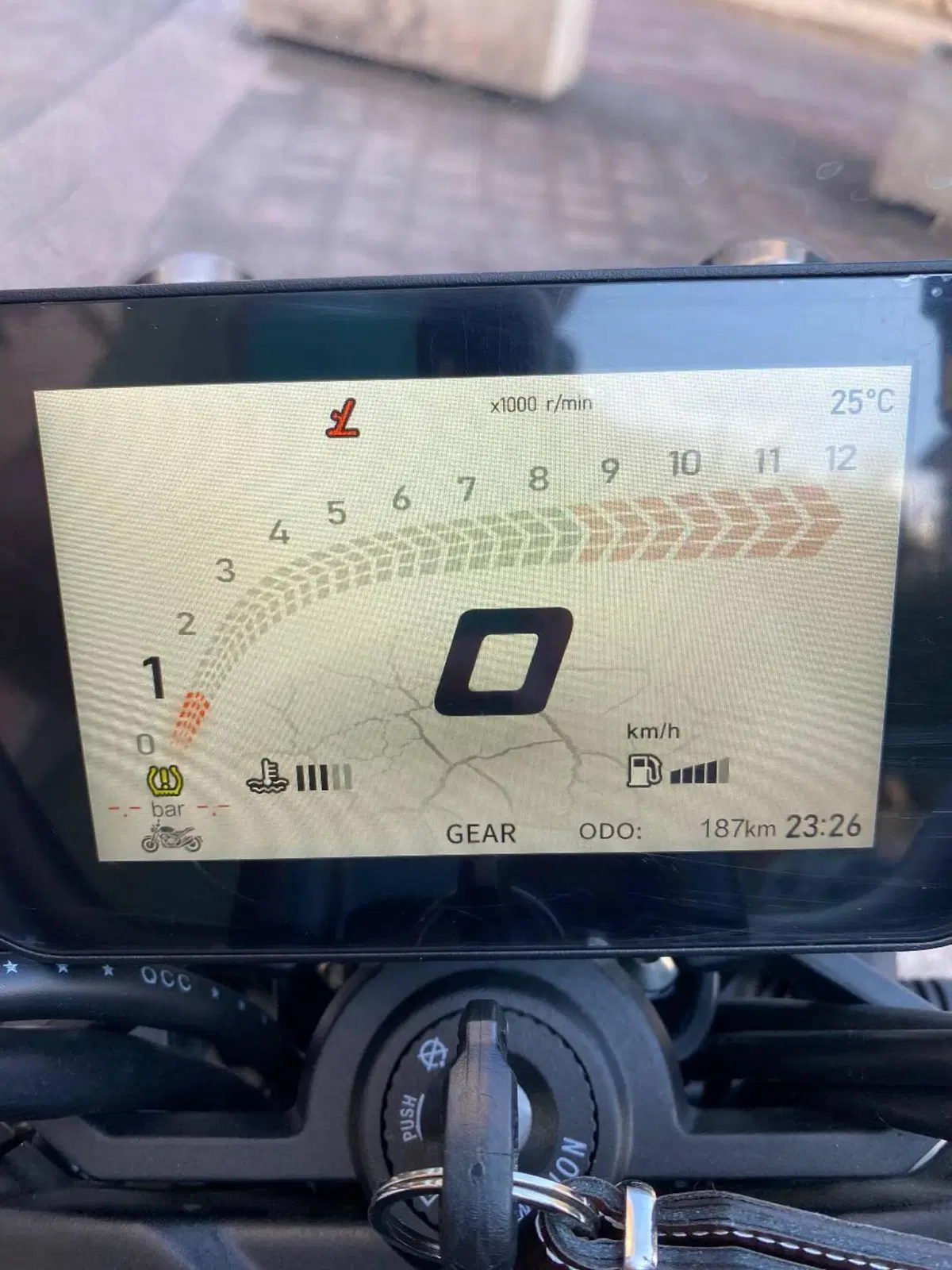Voge Trofeo 525ACX Scrambler (2023 - 26) (9)