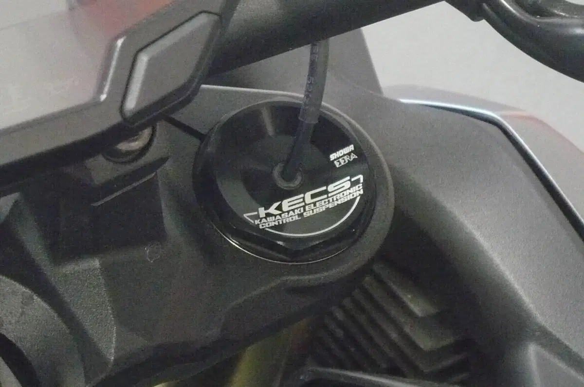 Kawasaki Z H2 SE (2021 - 24) (13)
