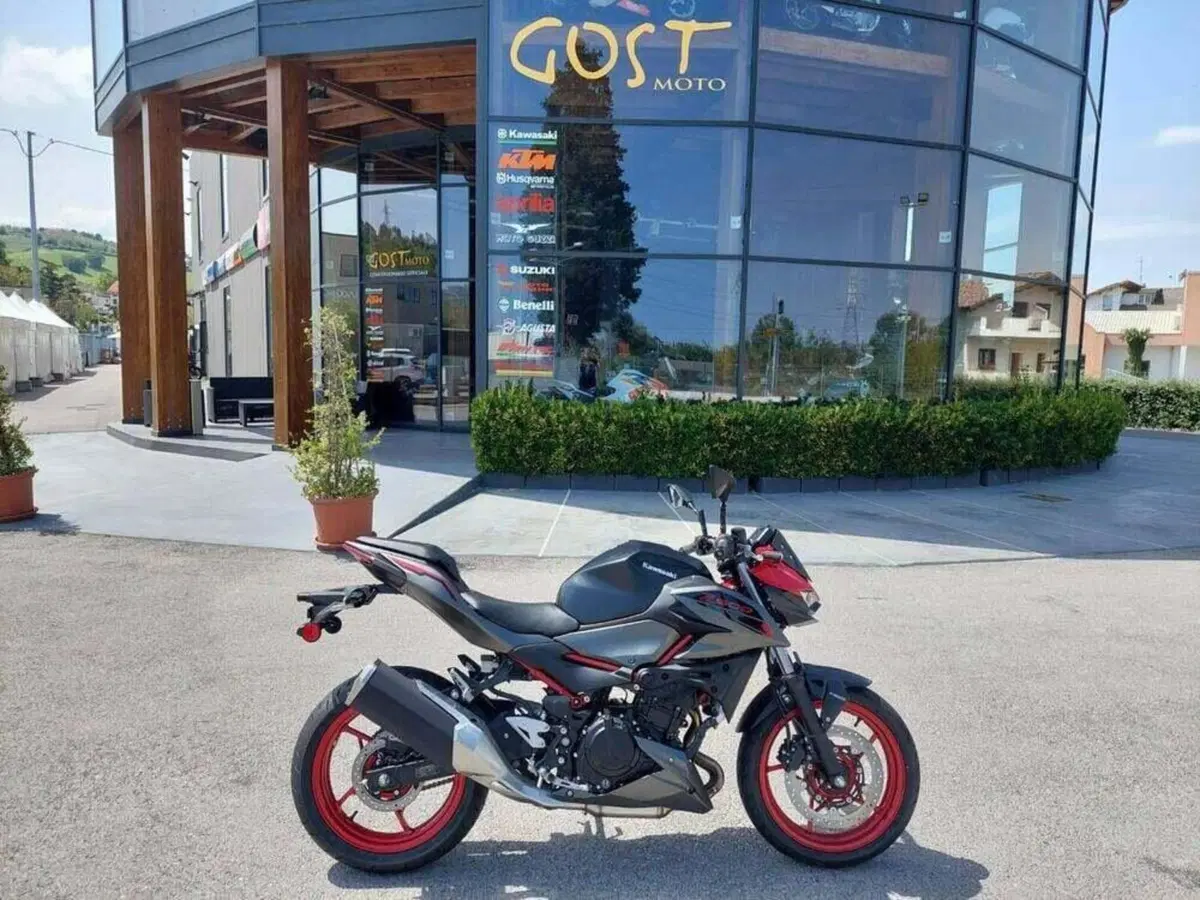 Kawasaki Z 500 SE (2024 - 26)
