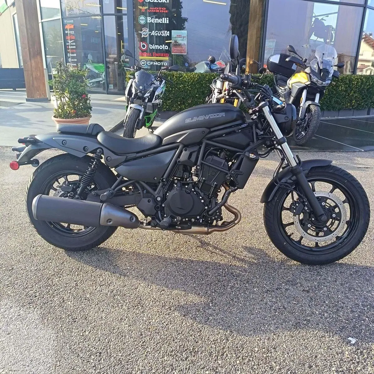 Kawasaki Eliminator 500 (2024 - 26) (3)