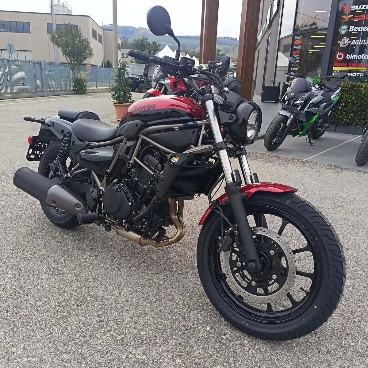 Kawasaki Eliminator 500 (2024 - 26) (5)
