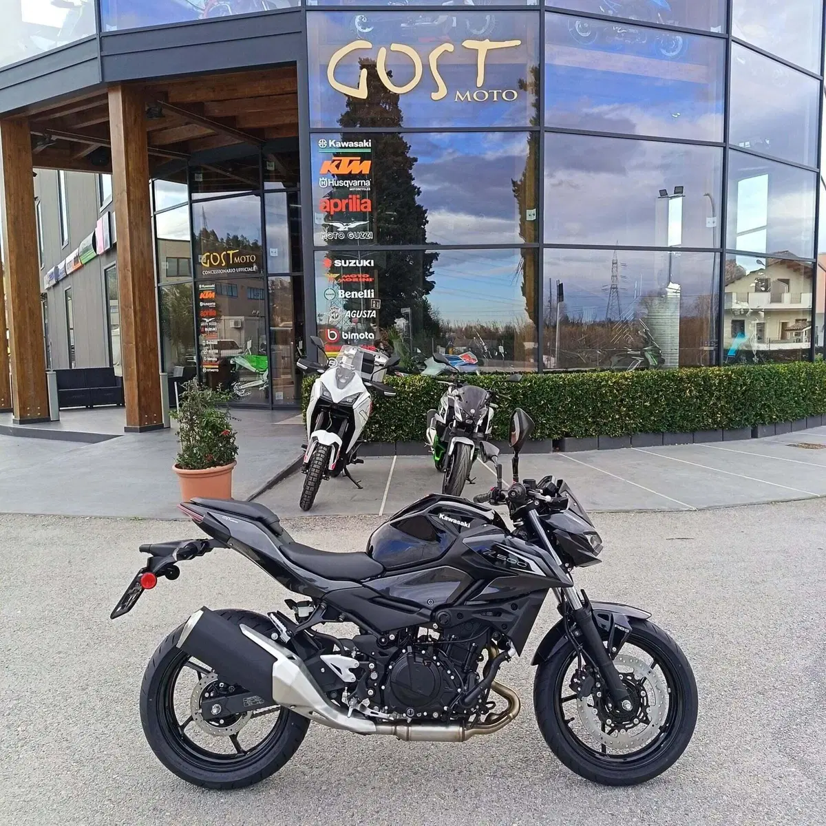 Kawasaki Z 500 (2024 - 26)