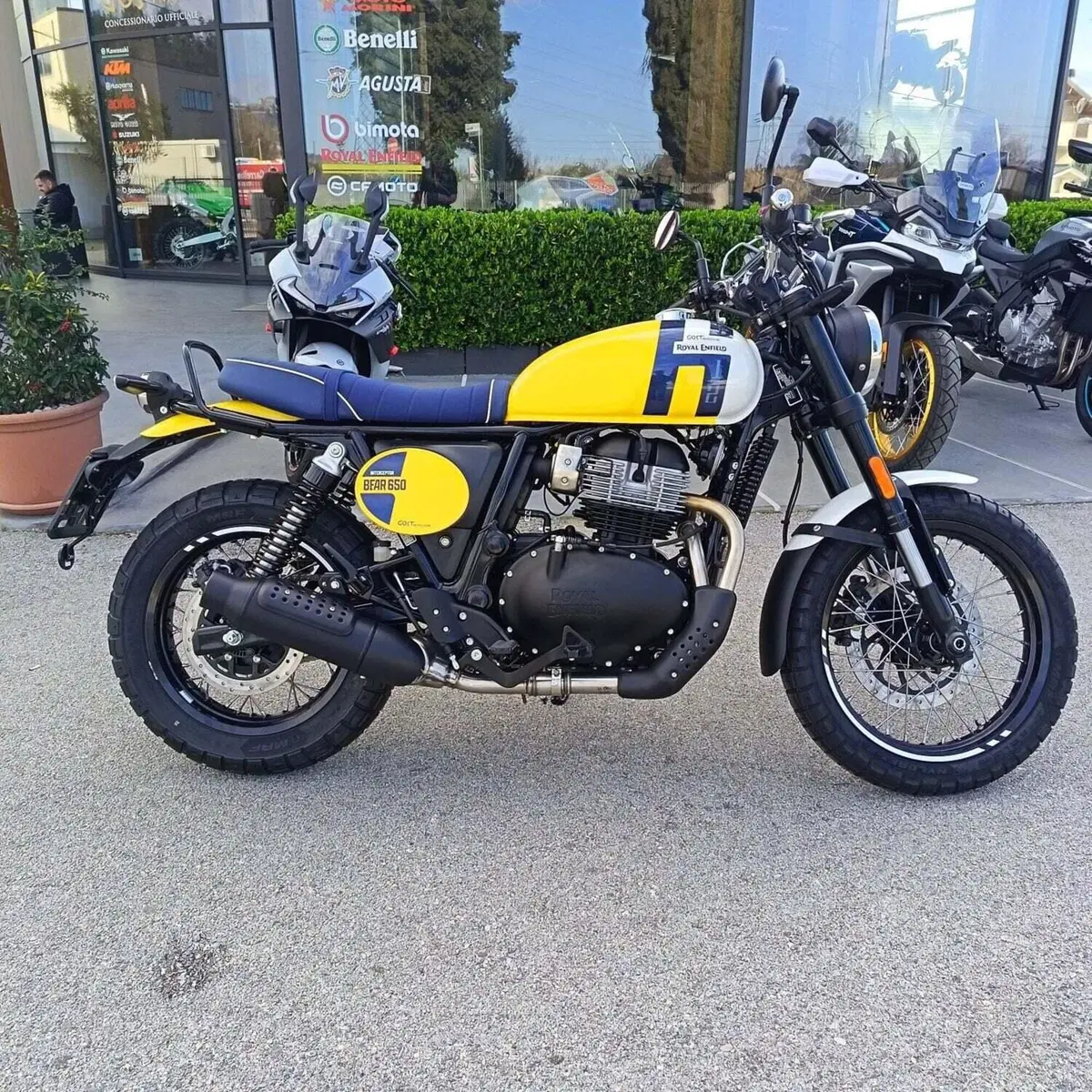 Royal Enfield Bear 650 (2025 - 26) (2)