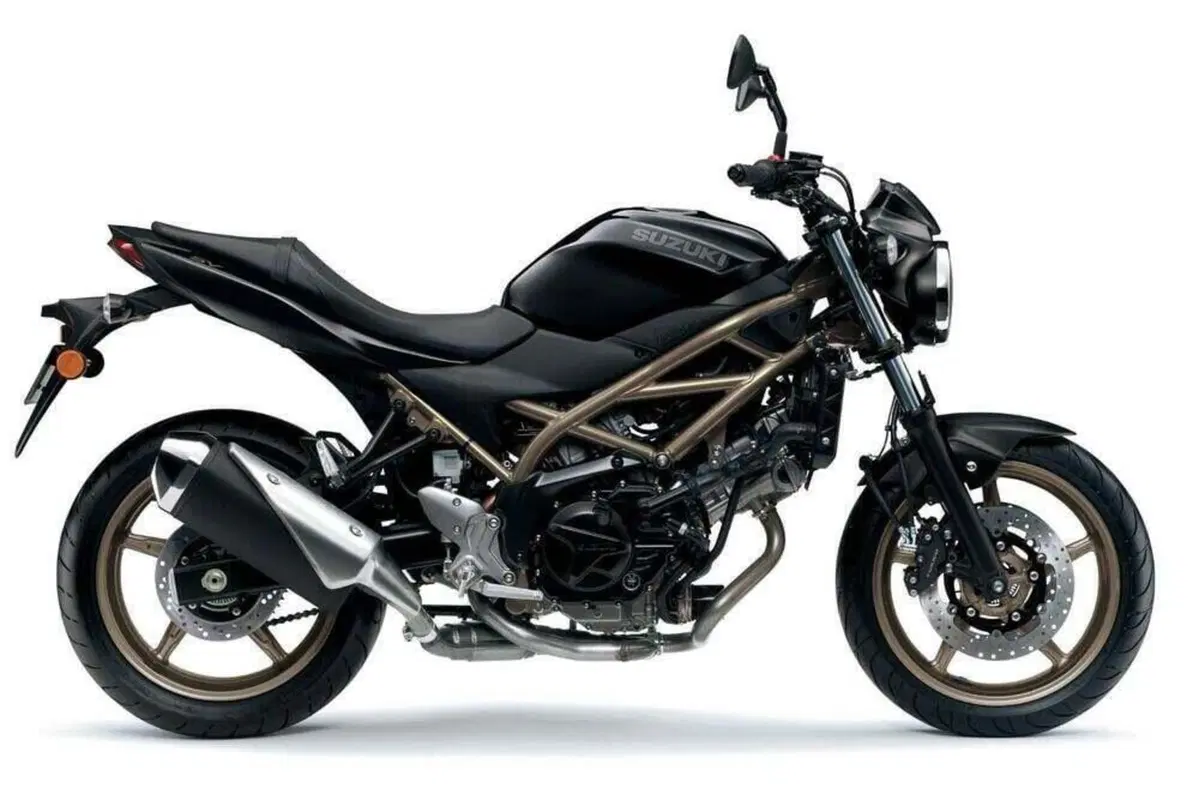 Suzuki SV650 (2025 - 26) (2)