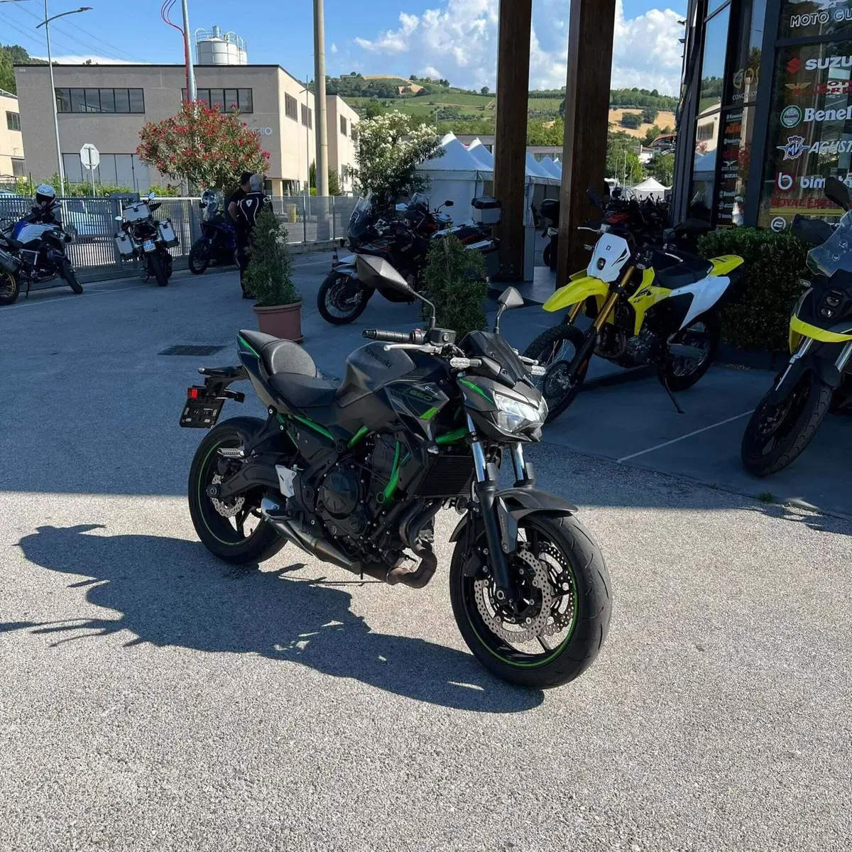 Kawasaki Z 650 (2025 - 26) (6)