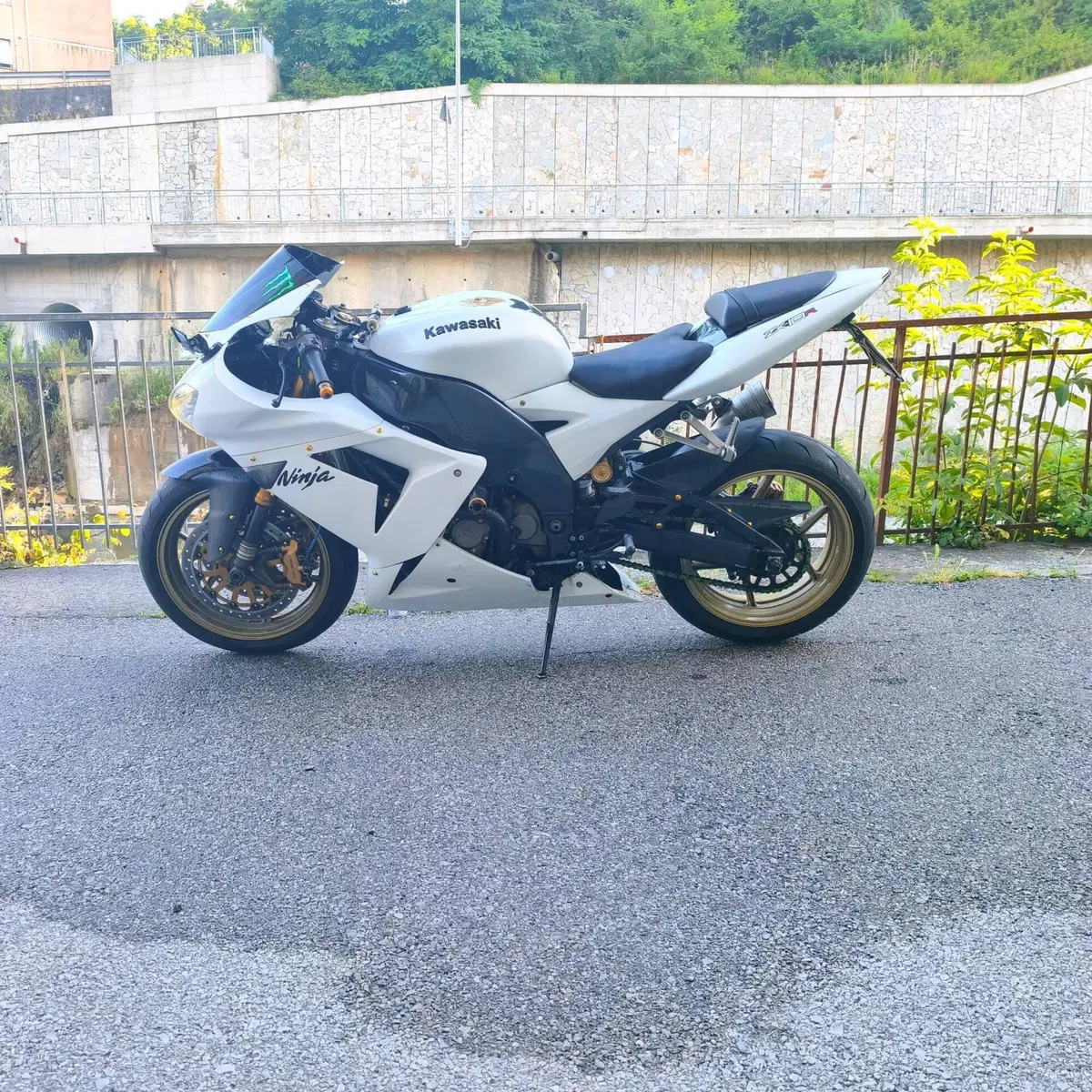 Kawasaki Ninja 1000 ZX-10R (2004 - 05) (2)