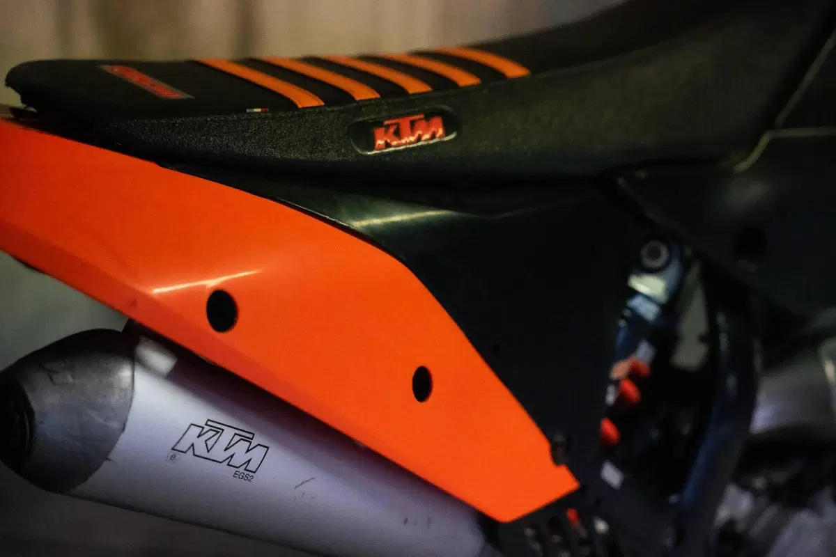 KTM 125 EXC (2009) (7)