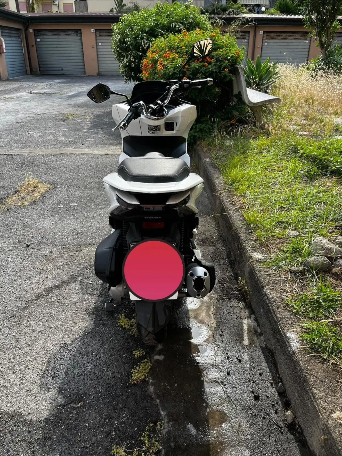 Honda PCX 125 (2021 - 24) (5)