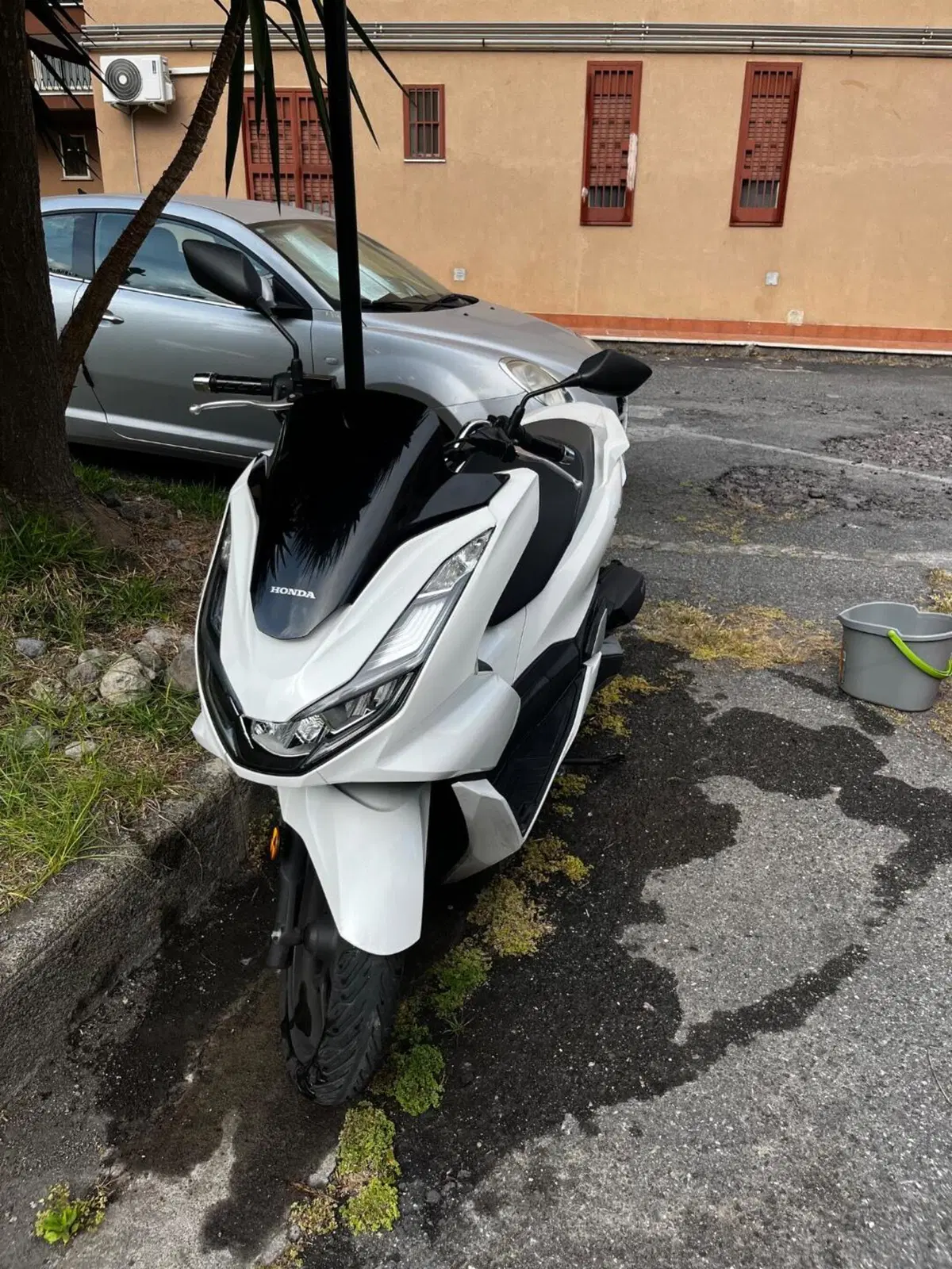 Honda PCX 125 (2021 - 24) (7)