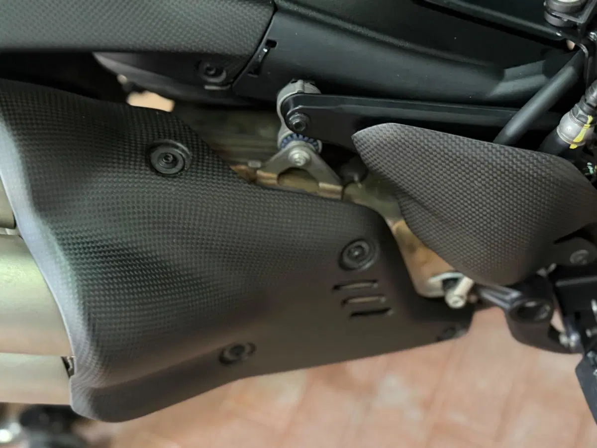 Ducati Diavel V4 (2023 - 26) (6)