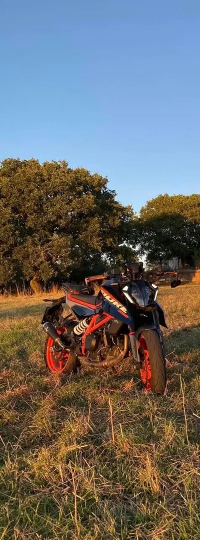 KTM 390 Duke (2024 - 25) usata