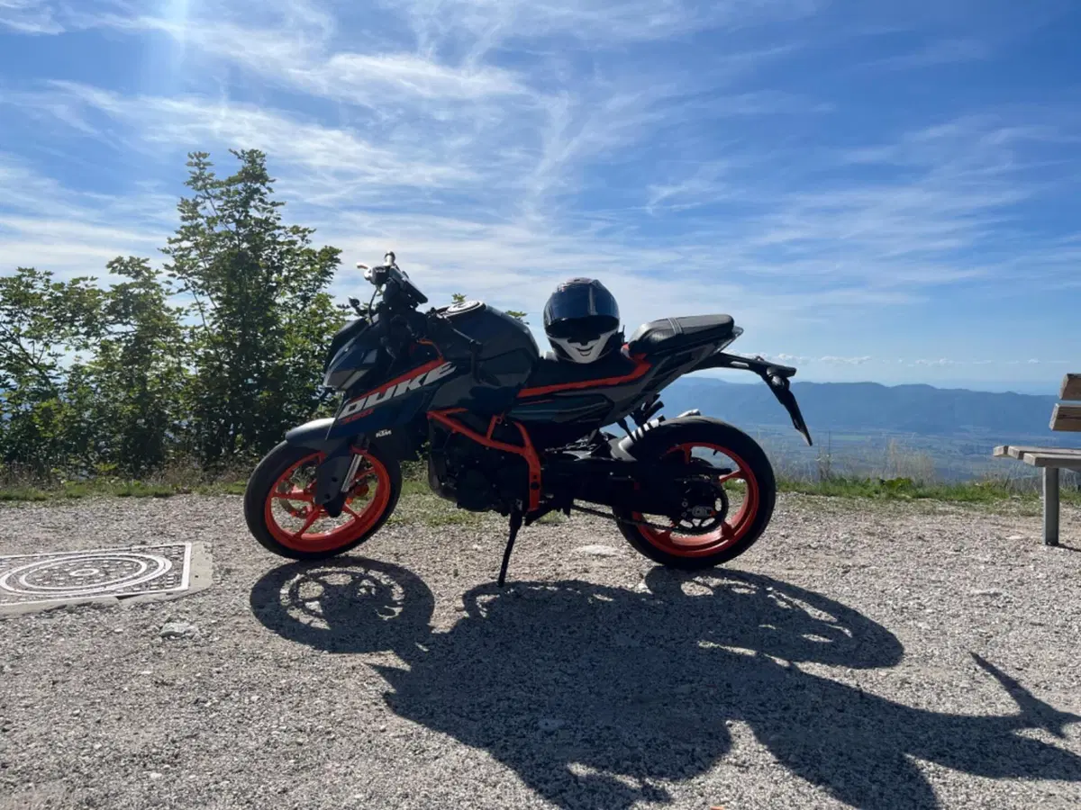 KTM 390 Duke (2024 - 25) (4)