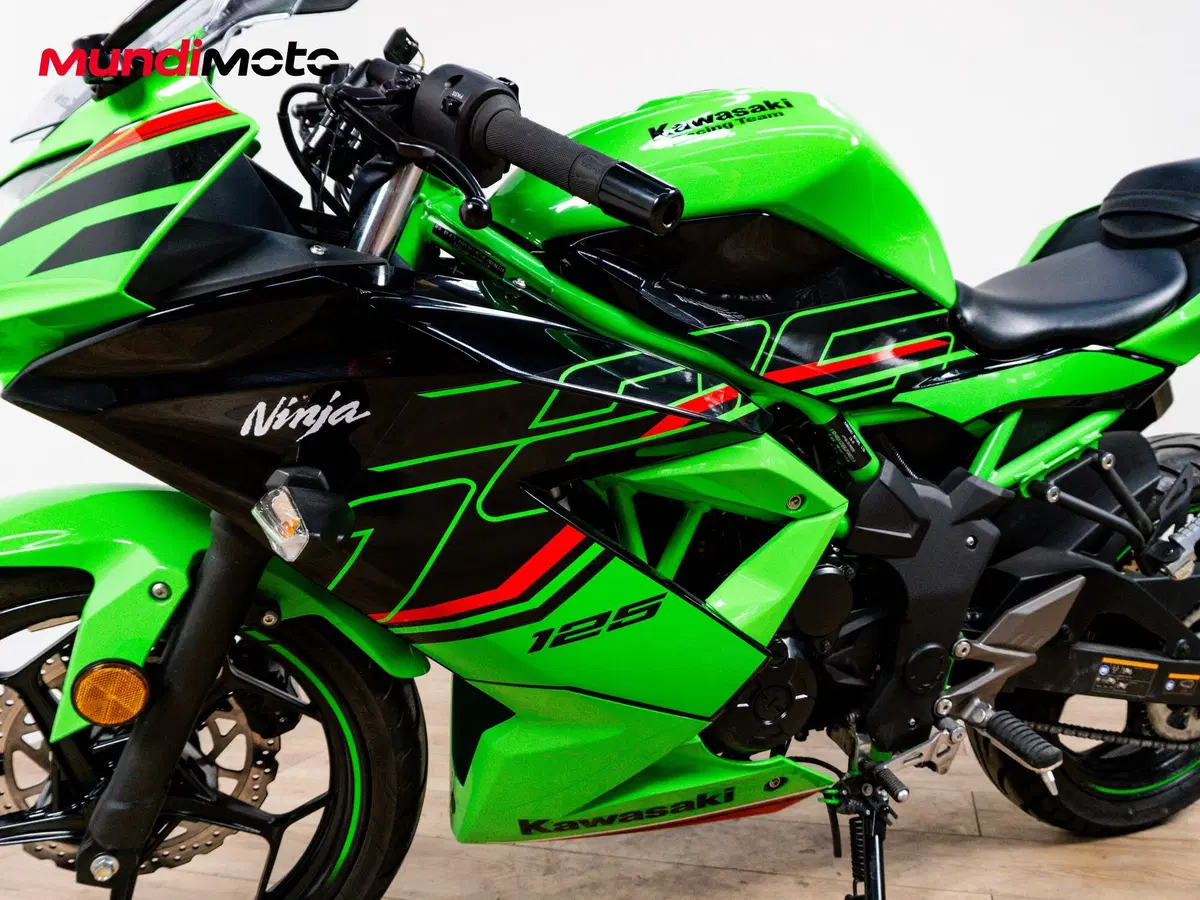 Kawasaki Ninja 125 (2025 - 26) (7)