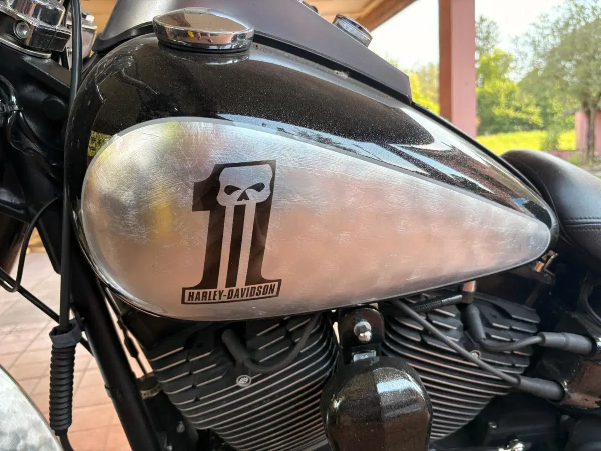 Harley-Davidson 1800 Fat Bob (2009 - 12) - FXDFSE (7)