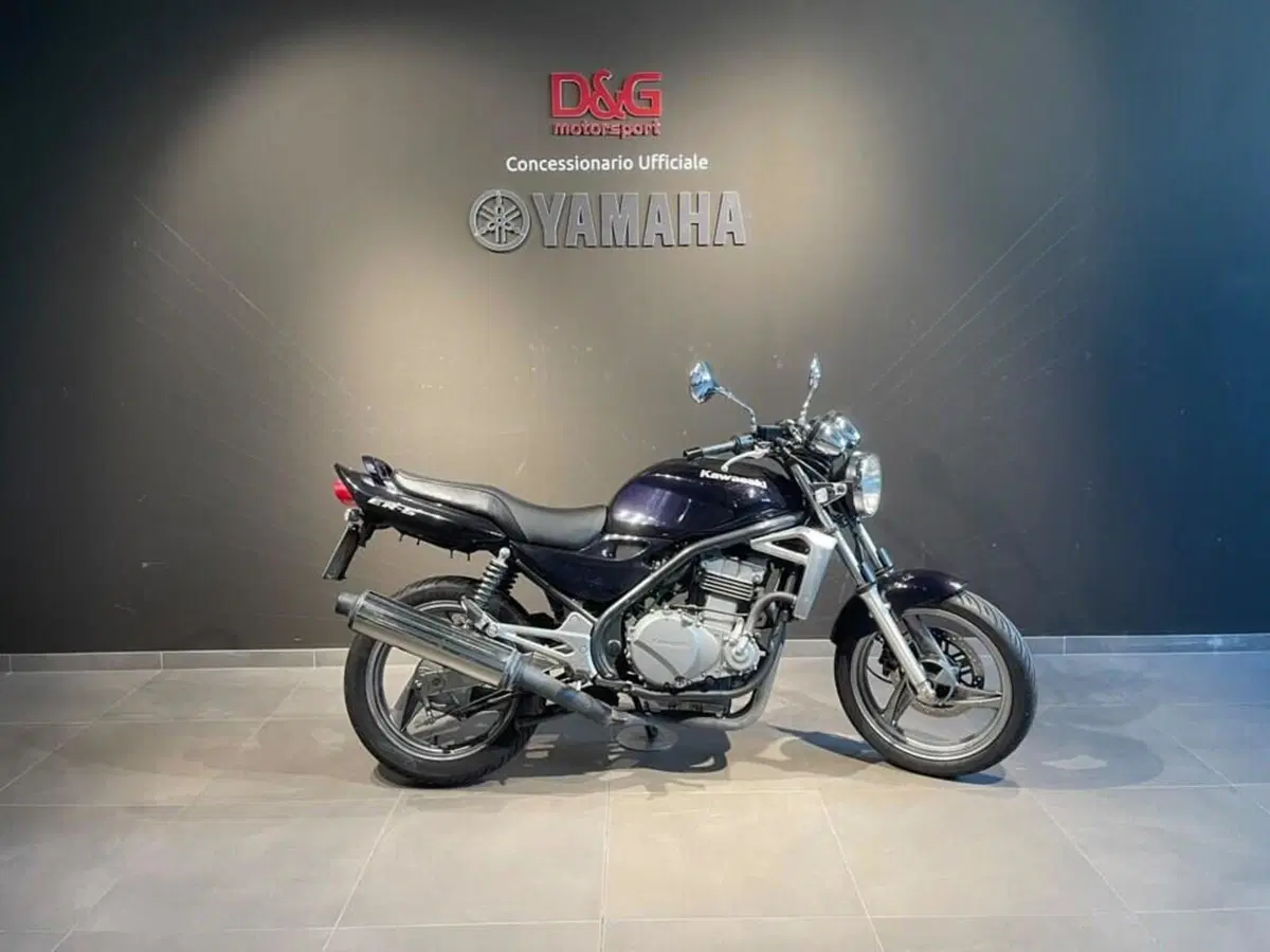 Kawasaki ER-5 500 (2001 - 06)