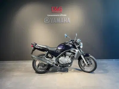 Kawasaki ER-5 500 (2001 - 06) usata