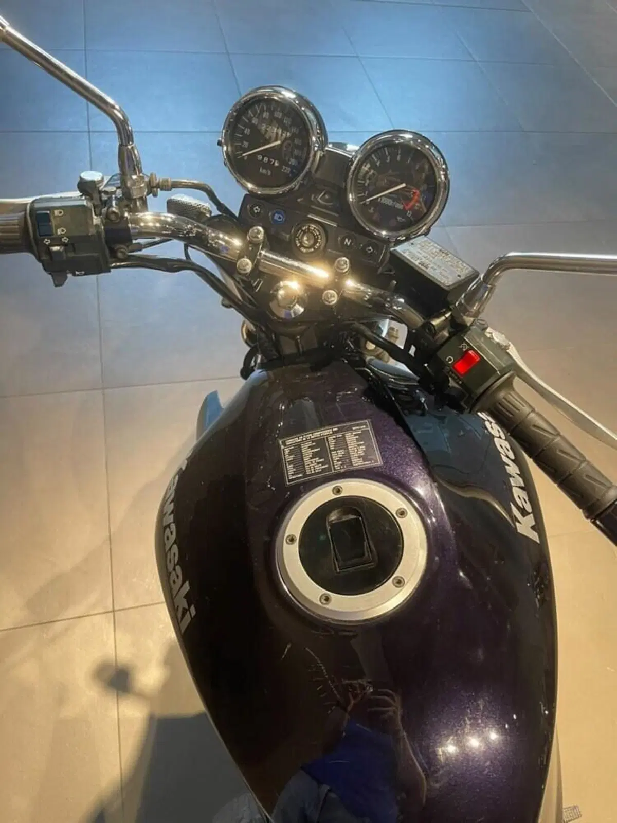 Kawasaki ER-5 500 (2001 - 06) (5)