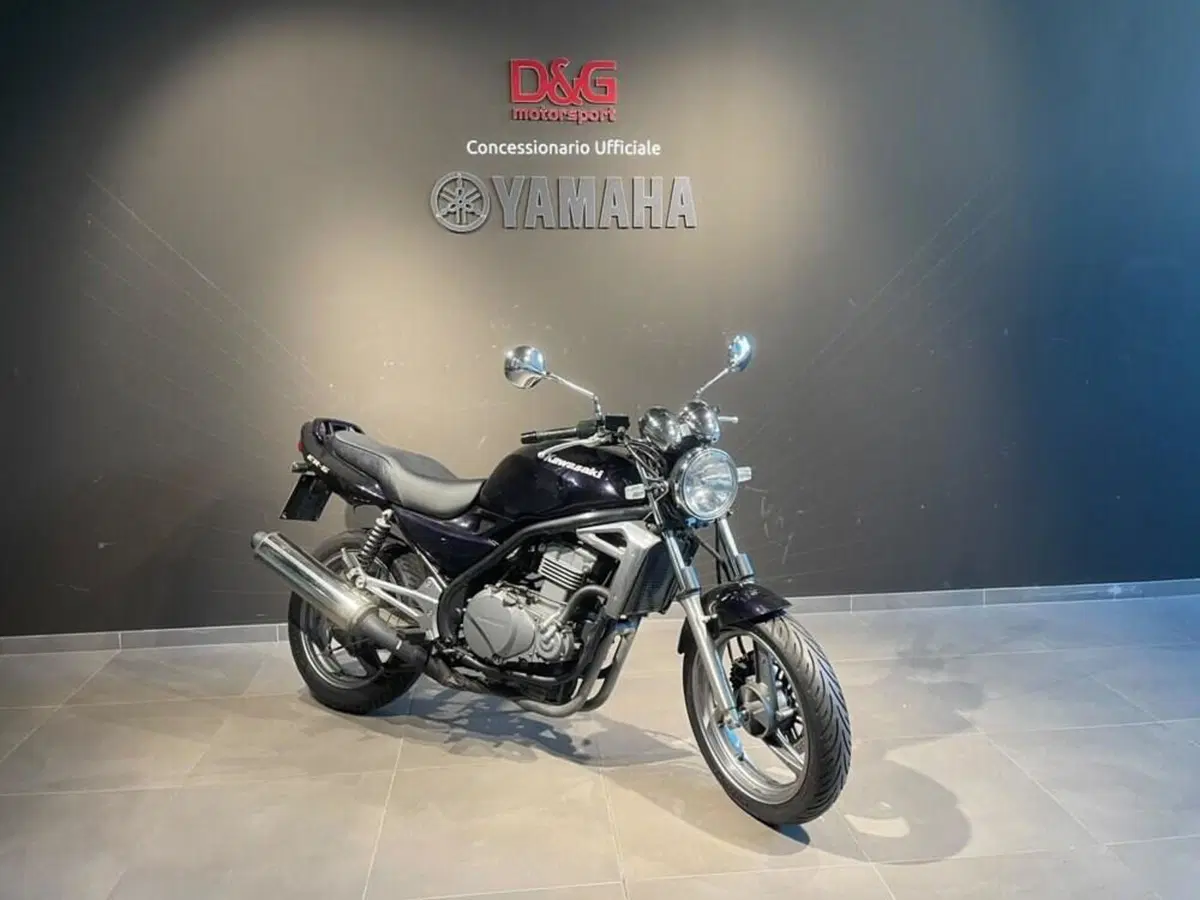 Kawasaki ER-5 500 (2001 - 06) (2)