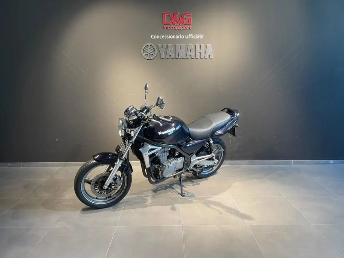 Kawasaki ER-5 500 (2001 - 06) (3)