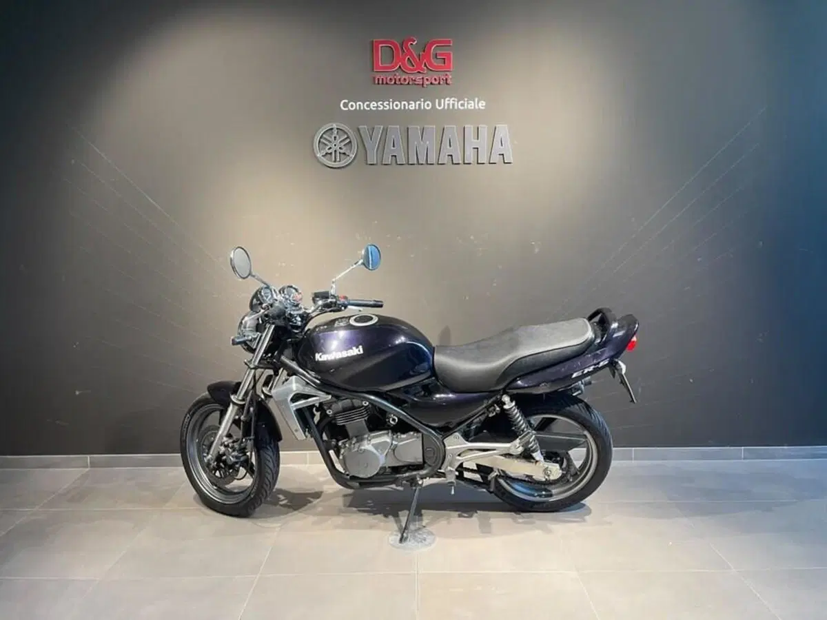 Kawasaki ER-5 500 (2001 - 06) (4)