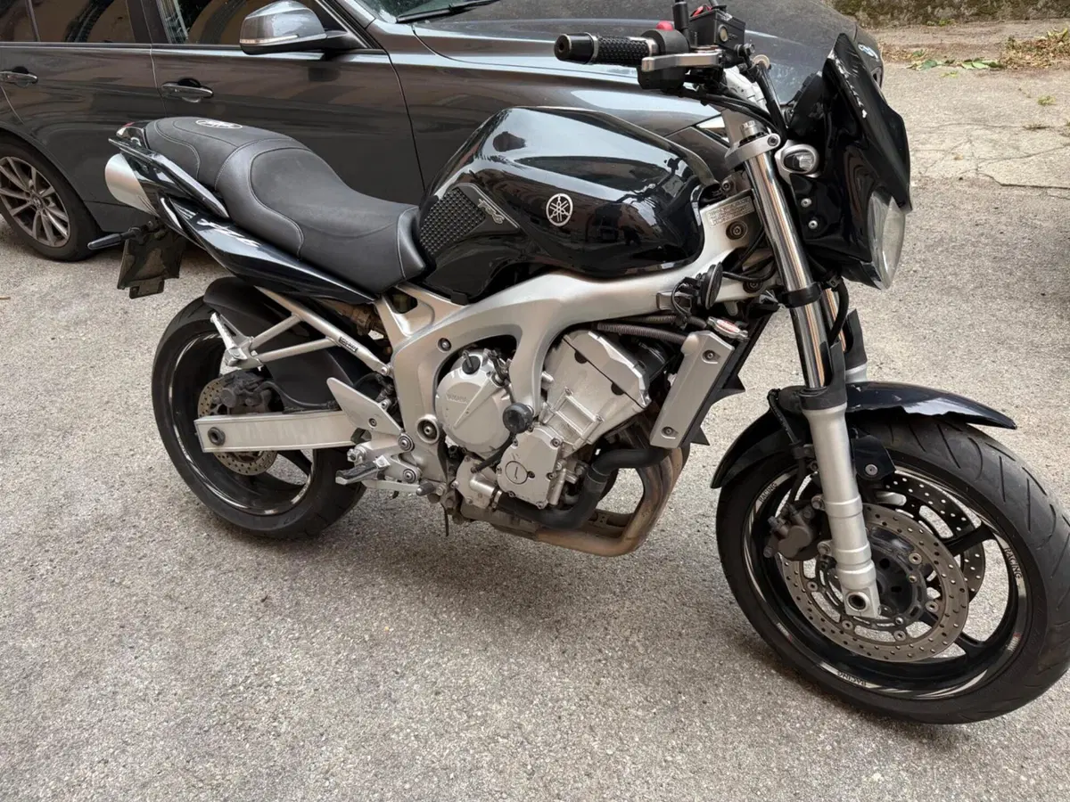 Yamaha FZ6 (2004 - 07) (2)