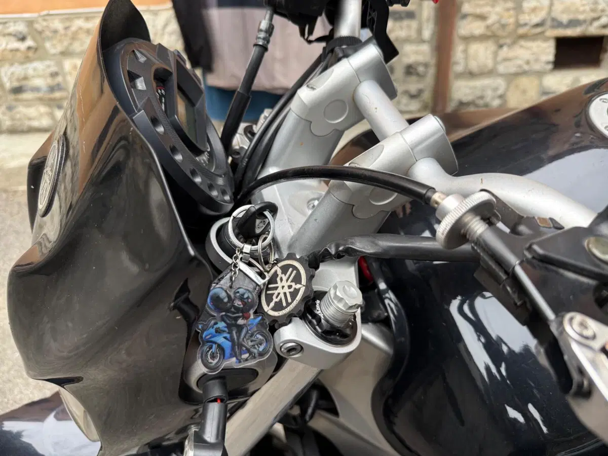 Yamaha FZ6 (2004 - 07) (14)