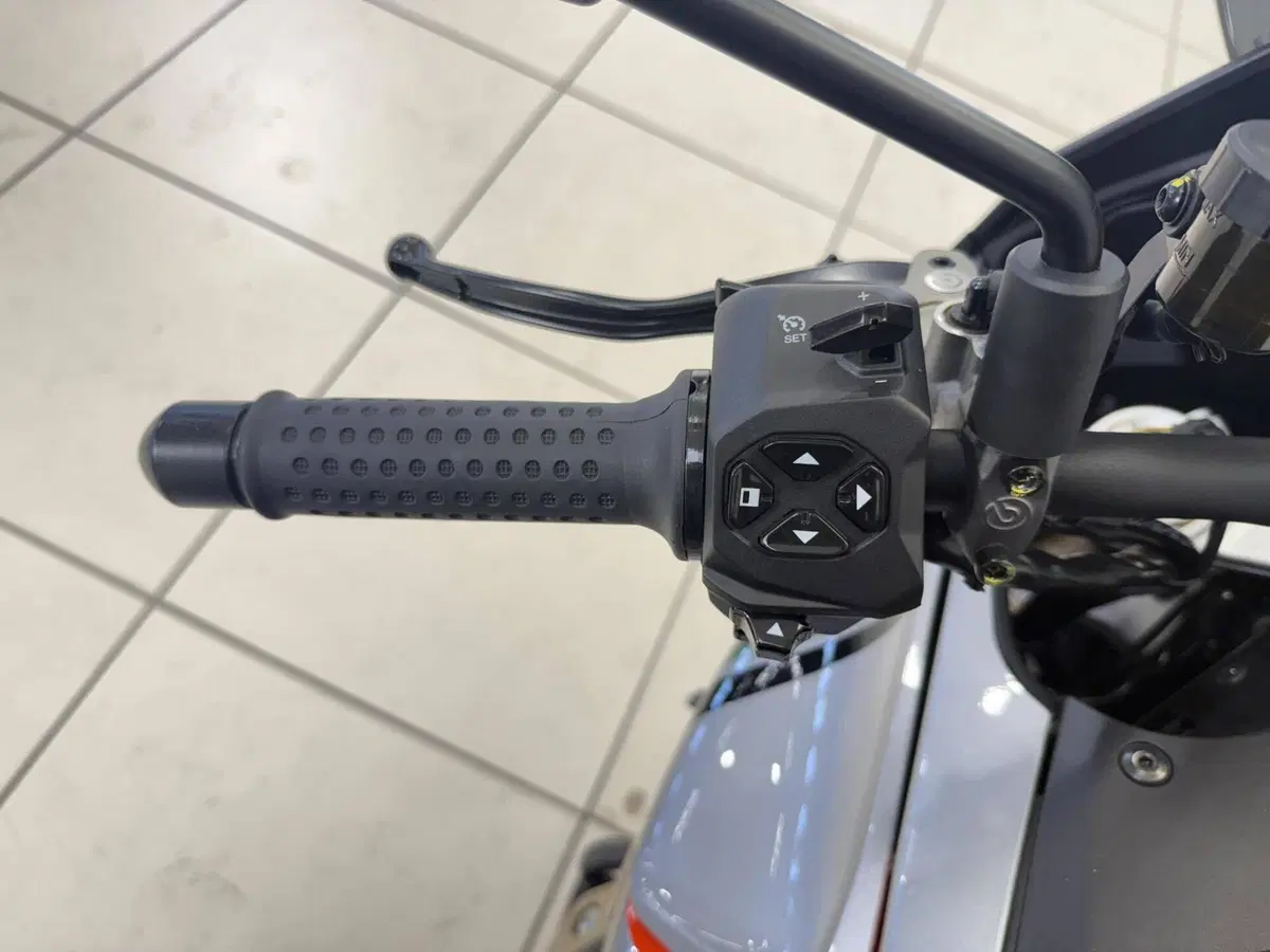 Moto Guzzi V100 Mandello (2025 - 26) (10)