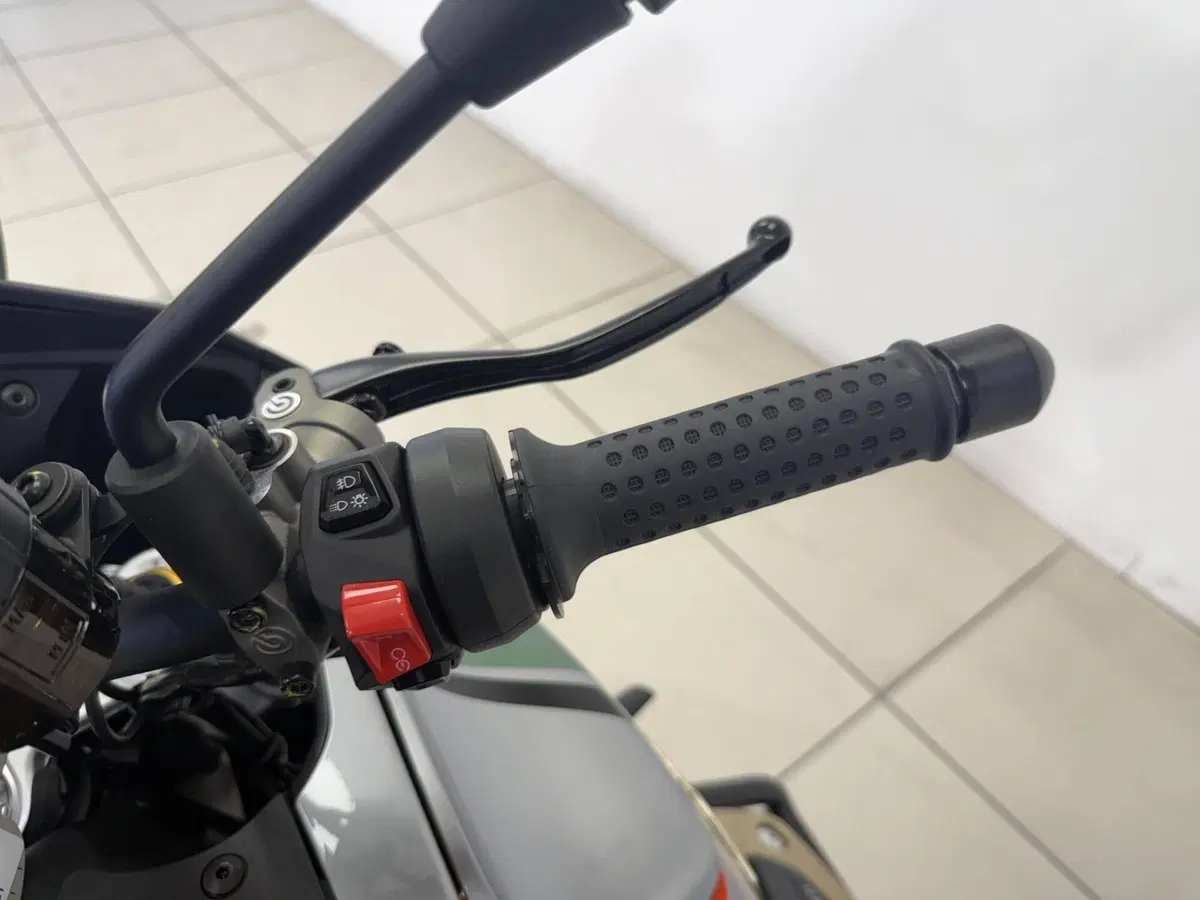 Moto Guzzi V100 Mandello (2025 - 26) (11)