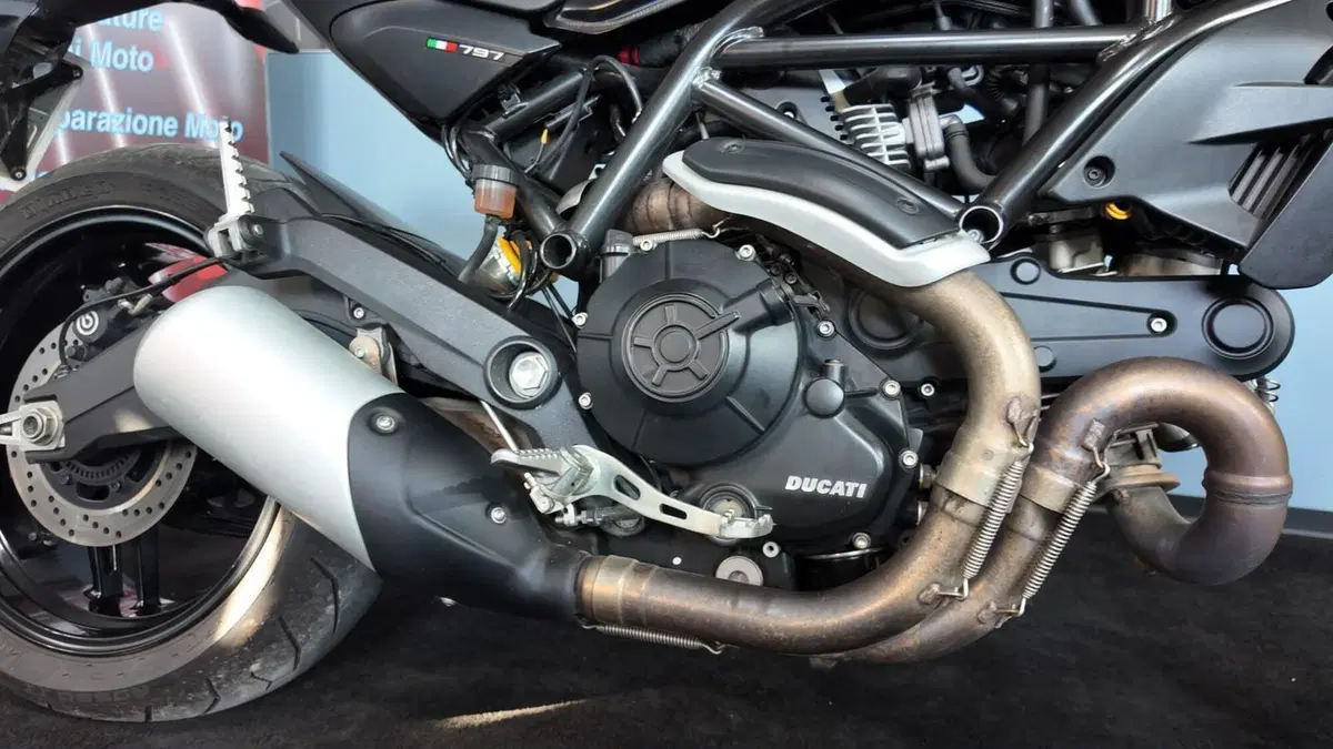 Ducati Monster 797 (2017 - 18) (8)