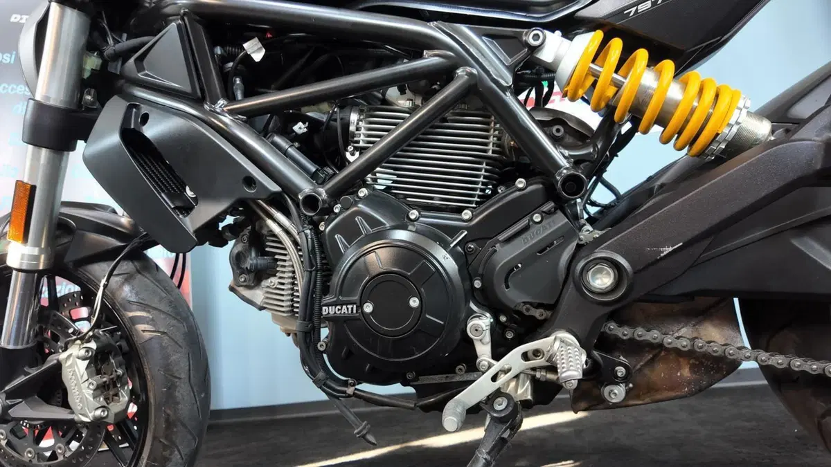 Ducati Monster 797 (2017 - 18) (9)