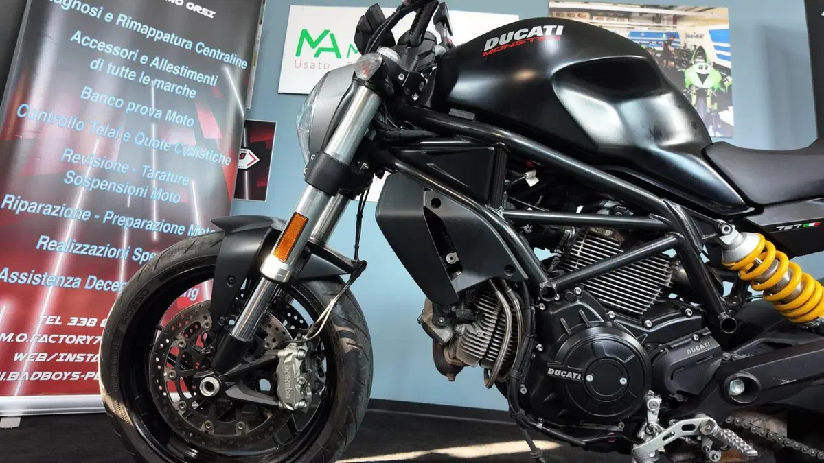 Ducati Monster 797 (2017 - 18) (11)