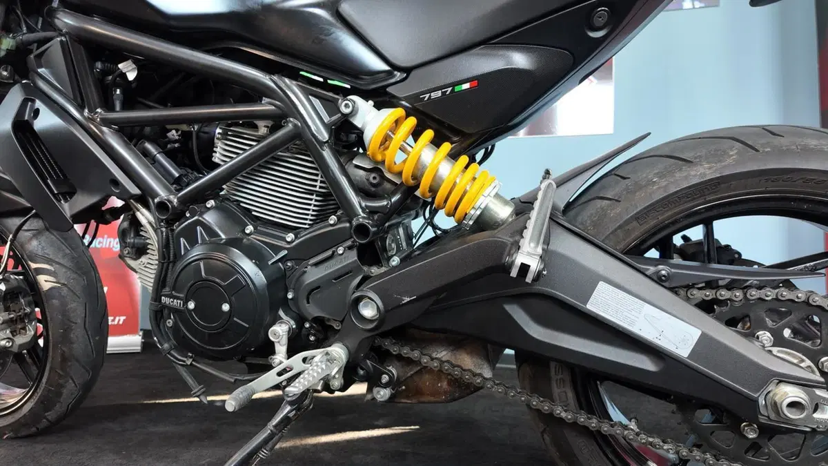 Ducati Monster 797 (2017 - 18) (12)