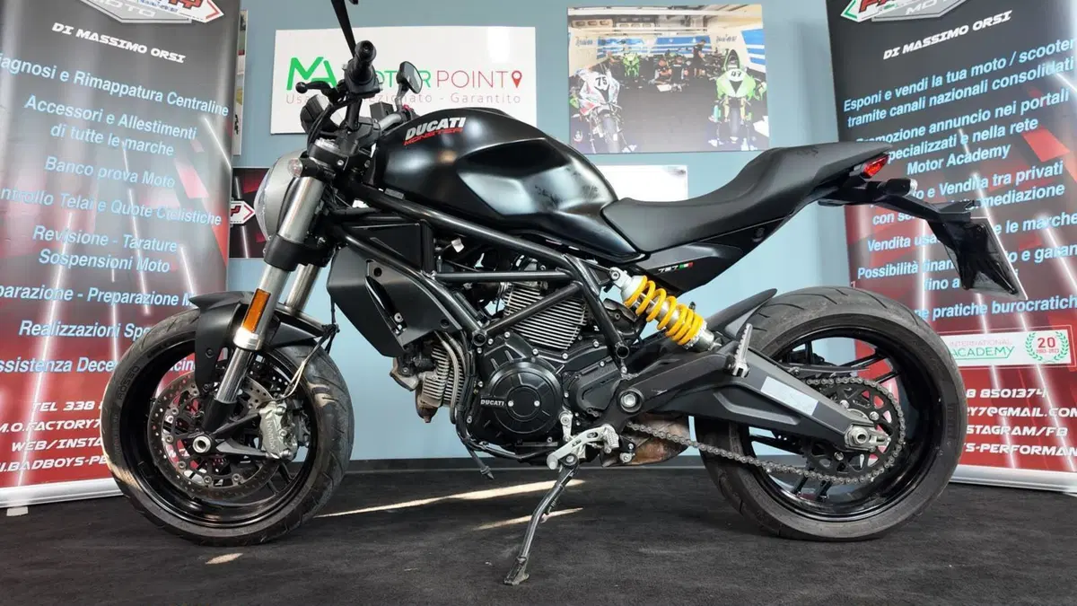 Ducati Monster 797 (2017 - 18) (13)